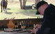 Yarralong BnB And Farm Stay - thumb 1
