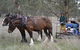 Yarralong BnB And Farm Stay - thumb 4
