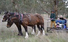 Yarralong BnB And Farm Stay - VIC Tourism 4