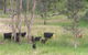 Yarralong BnB And Farm Stay - thumb 2