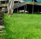 Snowy Valley Resort - VIC Tourism