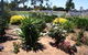 Aaroona Holiday Resort - thumb 2