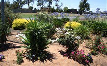 Aaroona Holiday Resort - VIC Tourism 2