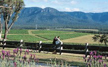 Berringer Lake Holiday Cottages - VIC Tourism 7