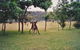 Bewong River Retreat - thumb 1