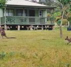 Bewong River Retreat - VIC Tourism