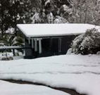 Black Bream Point Holiday Cottages - VIC Tourism