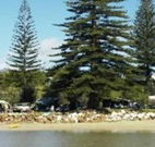 Bundle Hill Cottages - VIC Tourism