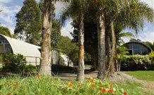 Craigie NSW VIC Tourism
