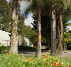 Cochabonddu - VIC Tourism
