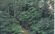 Eco Huts - Jervis Bay Getaways - VIC Tourism 1