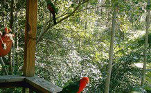 Eco Huts - Jervis Bay Getaways - VIC Tourism 2