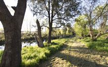 Glen Eden Cottages - VIC Tourism 4