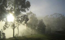 Grace Cottages - VIC Tourism 2