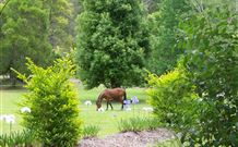 Snug Cove Villas - VIC Tourism 6
