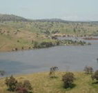 In The Heart Of Husky - VIC Tourism