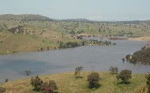 In The Heart Of Husky - VIC Tourism 0