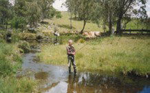 Milton Country Retreat - VIC Tourism 1