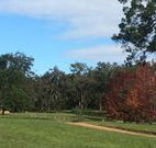Mulberry Cottage - VIC Tourism
