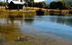 My Nanna's Place - thumb 2