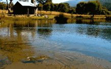 My Nanna's Place - VIC Tourism 2