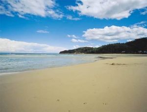 Bay Of Plenty Lodges - VIC Tourism 0