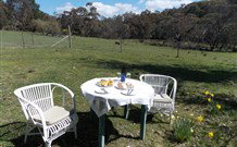 Pinegrove Cottage - VIC Tourism 5