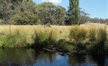 Pinegrove Cottage - VIC Tourism 3