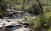 Pinegrove Cottage - VIC Tourism 4
