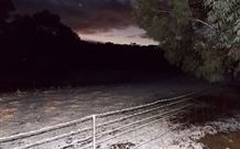 Pinegrove Cottage - VIC Tourism 7