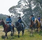 Possums Hideaway - VIC Tourism