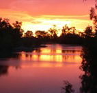 Roches Family Hotel - VIC Tourism