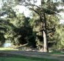 Rustic Caravan Park - VIC Tourism