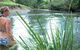 Rustic Caravan Park - thumb 2