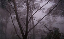 SeaChange Holiday Cottage And SeaStay Cottage - VIC Tourism 4