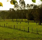 Stone Cottage Mittagong - VIC Tourism