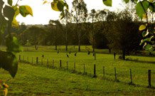 Stone Cottage Mittagong - VIC Tourism 0