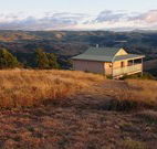 Tristania Tops Barrington - VIC Tourism
