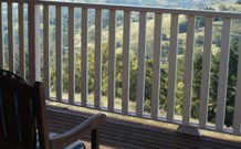 Tristania Tops Barrington - VIC Tourism 5