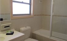 Willow Tree Inn - VIC Tourism 3