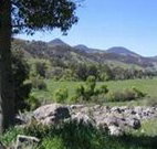 Woolshed Hill Estate - VIC Tourism