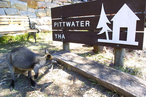 Sydney - Pittwater YHA - VIC Tourism 9