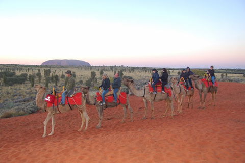 Ayers Rock - Outback Pioneer Lodge - VIC Tourism 1