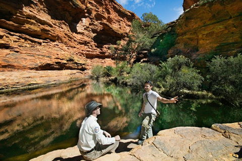 Kings Canyon Holiday Park - VIC Tourism 8