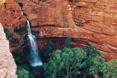 Kings Canyon Holiday Park - VIC Tourism 9