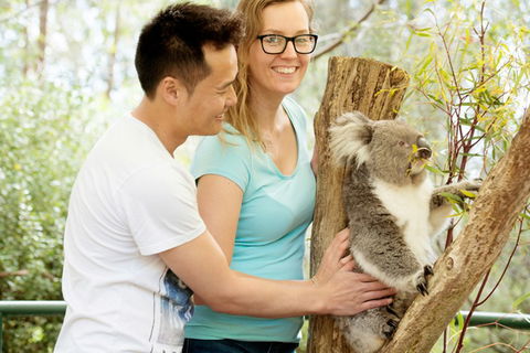 Mt Lofty YHA - VIC Tourism 6