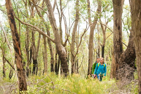 Mt Lofty YHA - VIC Tourism 8