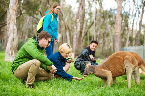 Mt Lofty YHA - VIC Tourism 7