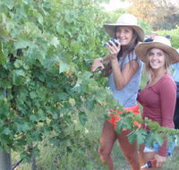 McLaren Vale Backpackers - VIC Tourism