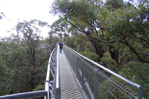 Walpole YHA - VIC Tourism 1